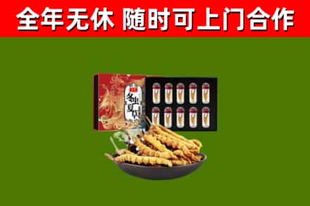 马尔康市回收冬虫夏草价格